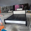 Giường sắt đơn kết hợp nỉ 1m6x2m